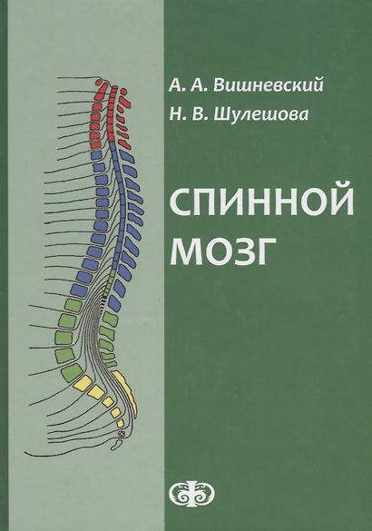 Спинной мозг: клинические и патофизиологические сопоставления. ил - фото 1