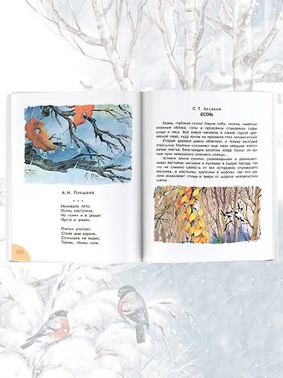 До свидания, детский сад! - фото 6