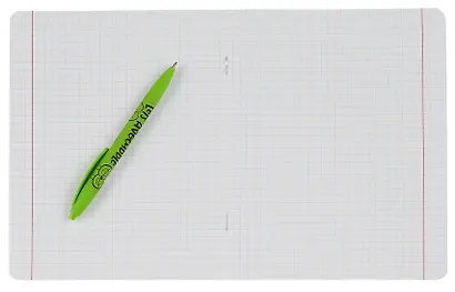 Тетрадь А5 18 листов "Капибары на природе" + ручка гелевая синяя пиши-стирай, + ручка шариковая синяя - фото 9