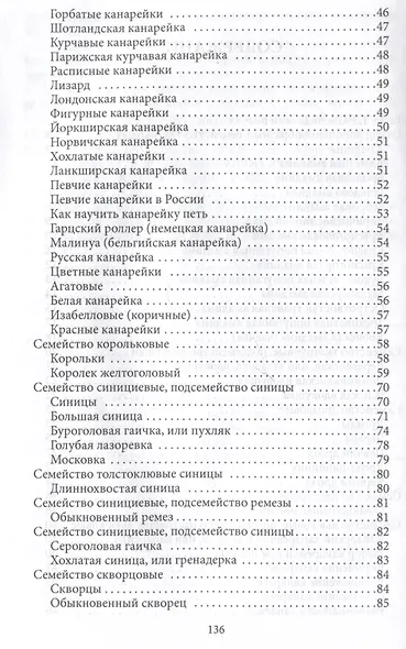 Певчие птицы - фото 4