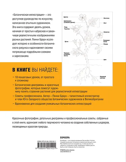 Ботаническая иллюстрация. Пошаговое руководство. От эскиза до готовой композиции - фото 2