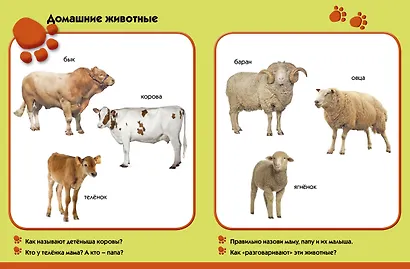 Лето в деревне. Развиваем малыша (1-2 года) - фото 4