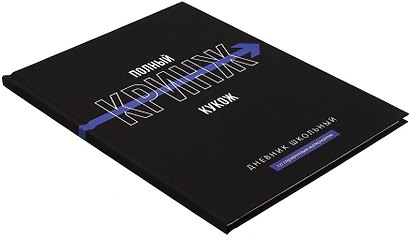 Дневник школьный «Фразы с характером. Полный кринж», Феникс+ - фото 2