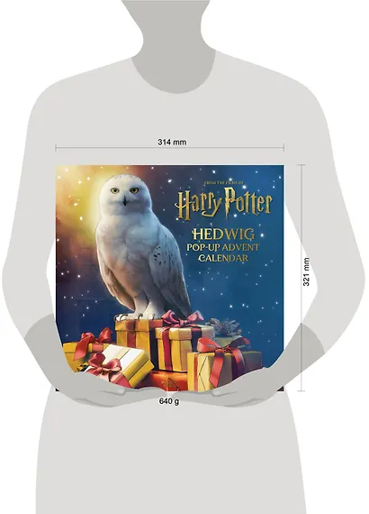 Harry Potter: Hedwig Pop-up Advent Calendar (Reinhart  Matthew) Гарри Поттер  Хедвиг Pop-up адвент календарь/ Книги на английском языке - фото 2