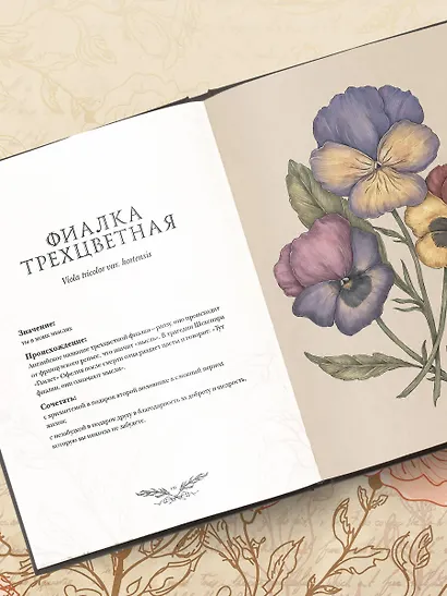 Флориография. Карманное руководство по викторианскому языку цветов - фото 11
