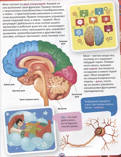 Обо всем на свете. Детская энциклопедия в картинках - фото 5