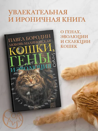 Кошки, гены и эволюция - фото 3