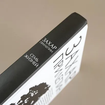 Семь жизней - фото 5