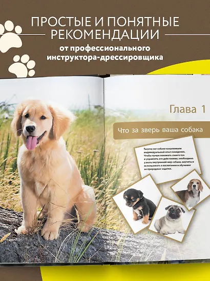 Дрессировка и воспитание собаки - фото 5