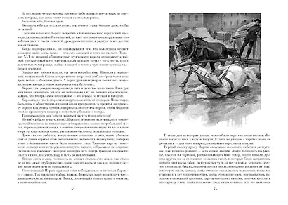 Ожерелье королевы. Анж Питу - фото 13