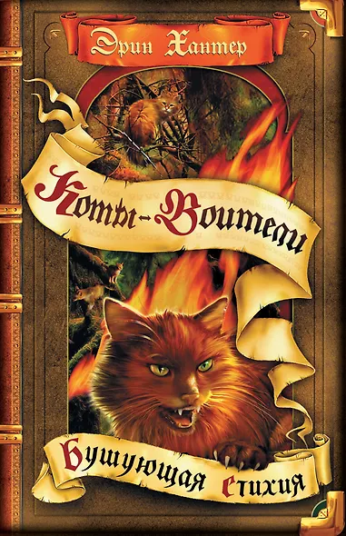 Бушующая стихия - фото 1