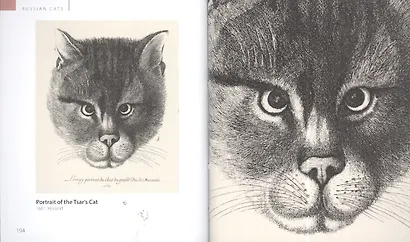 Cats - фото 5