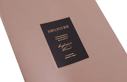 Тетради 48 листов 12 штук "Believe" - фото 6