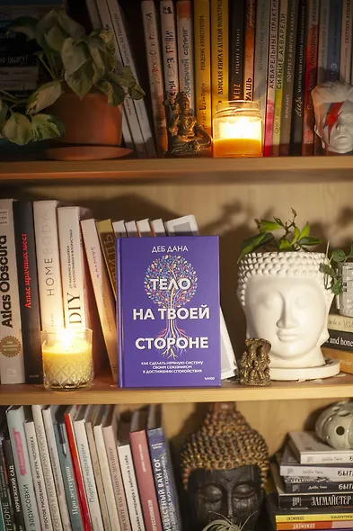 Тело на твоей стороне. Как сделать нервную систему своим союзником в достижении спокойствия - фото 4