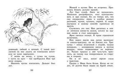 Лесные сказки и рассказы (иллюстр. Е. Рачёва) - фото 5