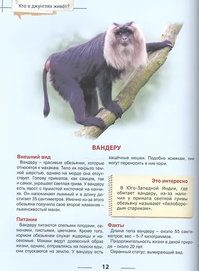 Энциклопедия для детей кто в джунглях живет? - фото 6