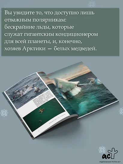 Северный Ледовитый океан. Земля Франца Иосифа - фото 6