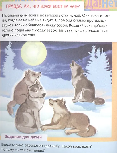 От чего и почему? Правда ли что..? - фото 2