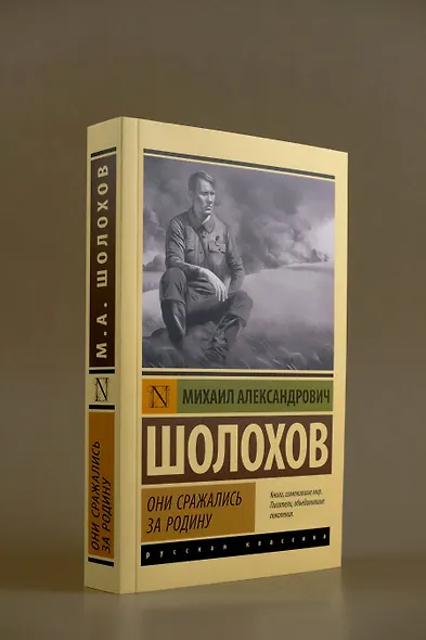 Они сражались за Родину - фото 5