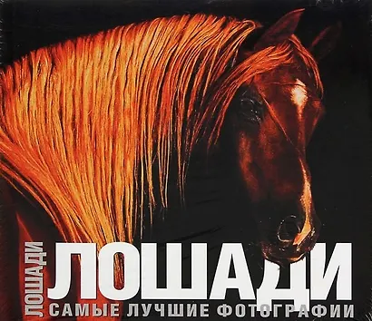 Лошади. Самые лучшие фотографии: Альбом - фото 1