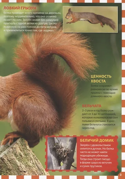 Животные России - фото 3