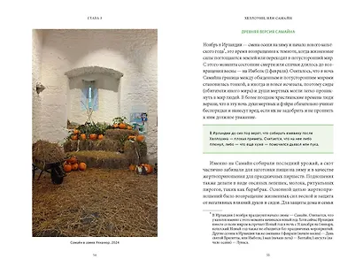 Ирландская культура смерти. «Веселые поминки», духи иного мира и похитители тел - фото 14