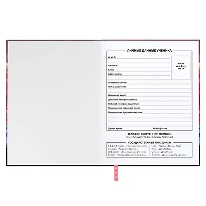 Дневник шк. "Девочка с котом" тв.переплёт, глянц.ламинация, пантон, ляссе, универс.шпаргалка - фото 11