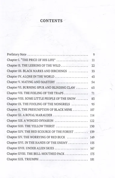 Red Fox - фото 3