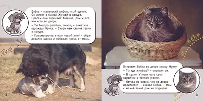 Кто где живет? - фото 2