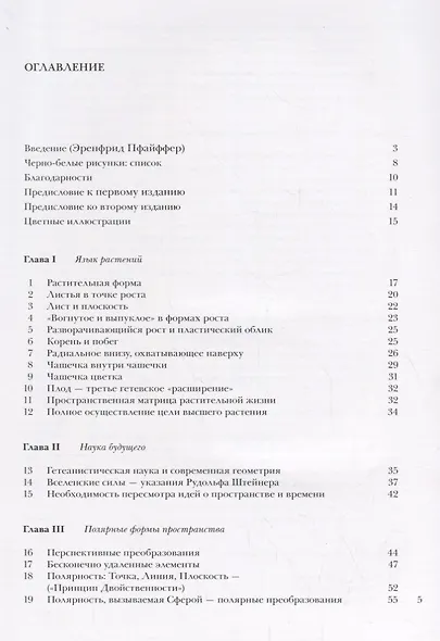 Растение между солнцем и землей - фото 2