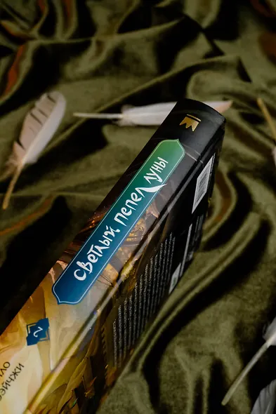 Светлый пепел луны. Книга 2. Новелла - фото 8