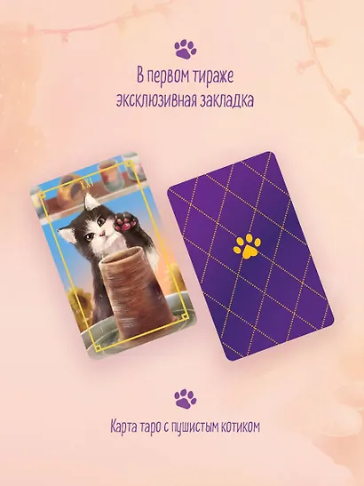 Кошка из мастерской - фото 7