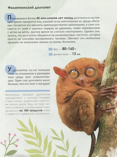 Детская энциклопедия. Красная книга - фото 6