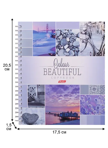 Тетрадь общая «Color Line», 120 листов в клетку, А5 - Hatber - фото 3