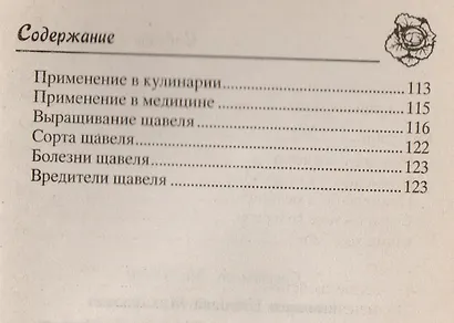 Капуста, салат, щавель, шпинат. - фото 4