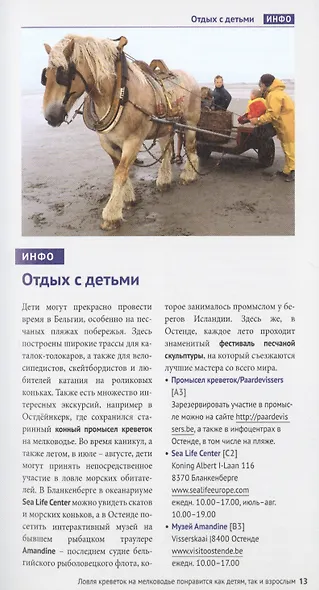 Бельгия Люксембург Путеводитель С мини-разговорником (+Флип-карта) (мРусГидПол) Рессиг - фото 7