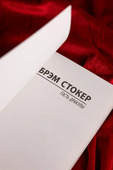Гость Дракулы - фото 8