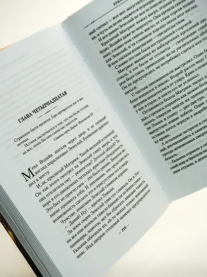 Крылья за спиной - фото 11