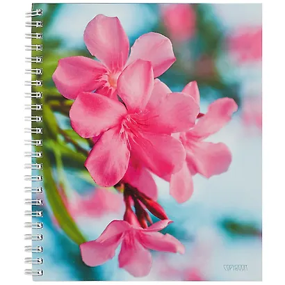 Тетрадь в клетку «В утренней дымке»‎, А5, 80 листов - фото 6