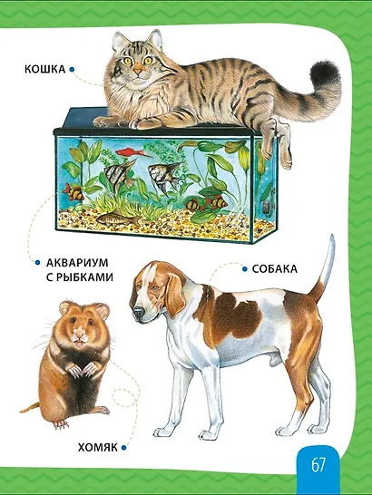 Любимая энциклопедия малыша - фото 5