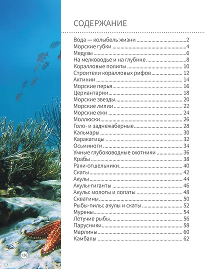 Всё о подводном мире - фото 9