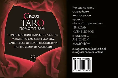 СircusTaro. Подробное руководство по картам Таро - фото 2