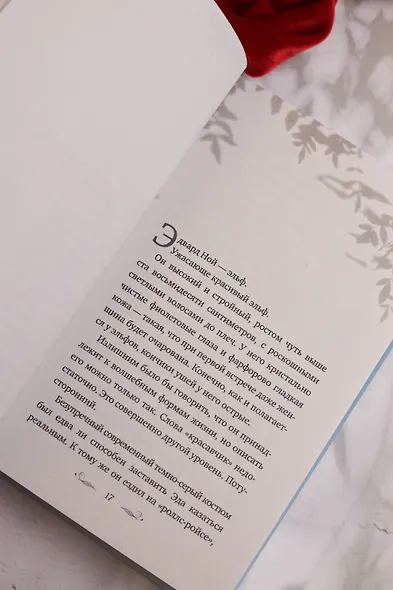 Тайное бюро иллюзий. Канун летнего солнцестояния. Книга 2 - фото 14