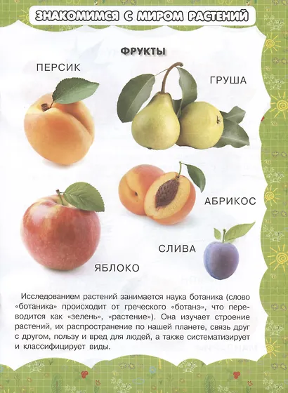 В саду и огороде - фото 4