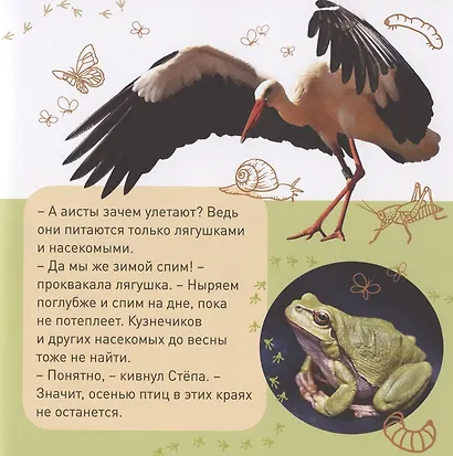 Кто как зимует? - фото 5