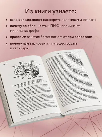 Мозг и его потребности 2.0. От питания до признания - фото 5