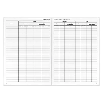 Классный журнал, 10-11 класс, А4 - фото 5