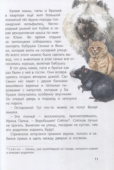 Я считаю ворон. Две истории из жизни птиц и людей - фото 3