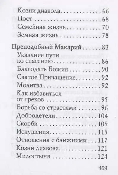 Оптинский цветник - фото 3