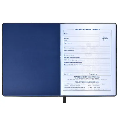 Дневник школьный Феникс+, "Российского школьника" - фото 4